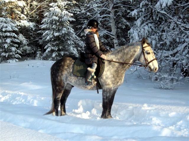 Верхом на лошади зимой